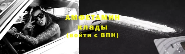 шишки Козельск