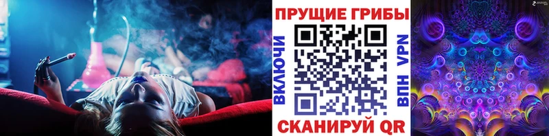 хочу наркоту  Котово  Галлюциногенные грибы прущие грибы 